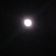 Moonlight Spirits